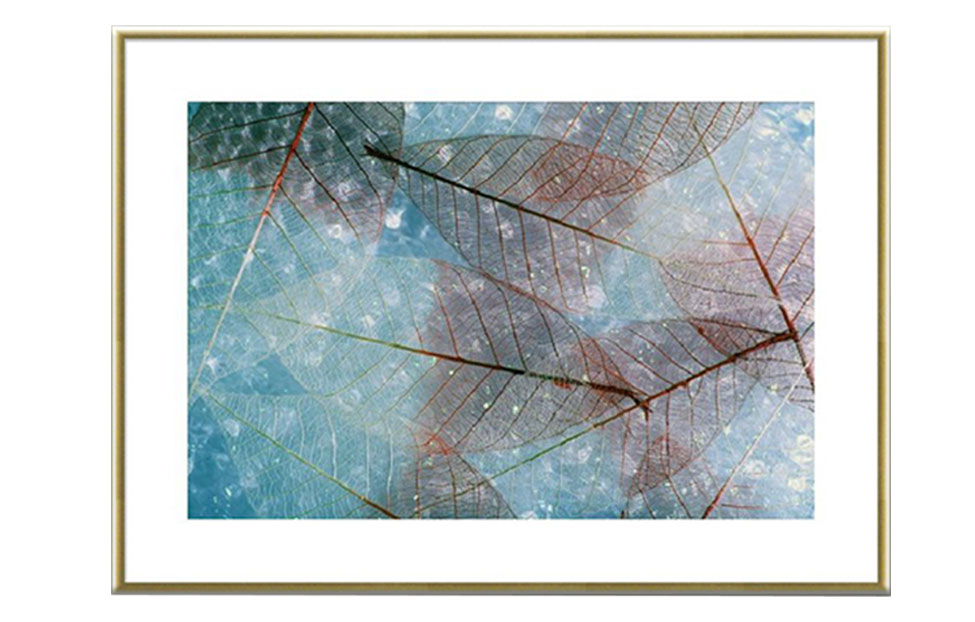 Постеры - изображение №2 "Постер «Листья макро №8» (110 х 76 см)"  на www.Angstrem-mebel.ru